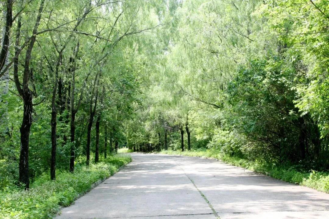 bobi波币钱包 -便捷数字钱币支付工具